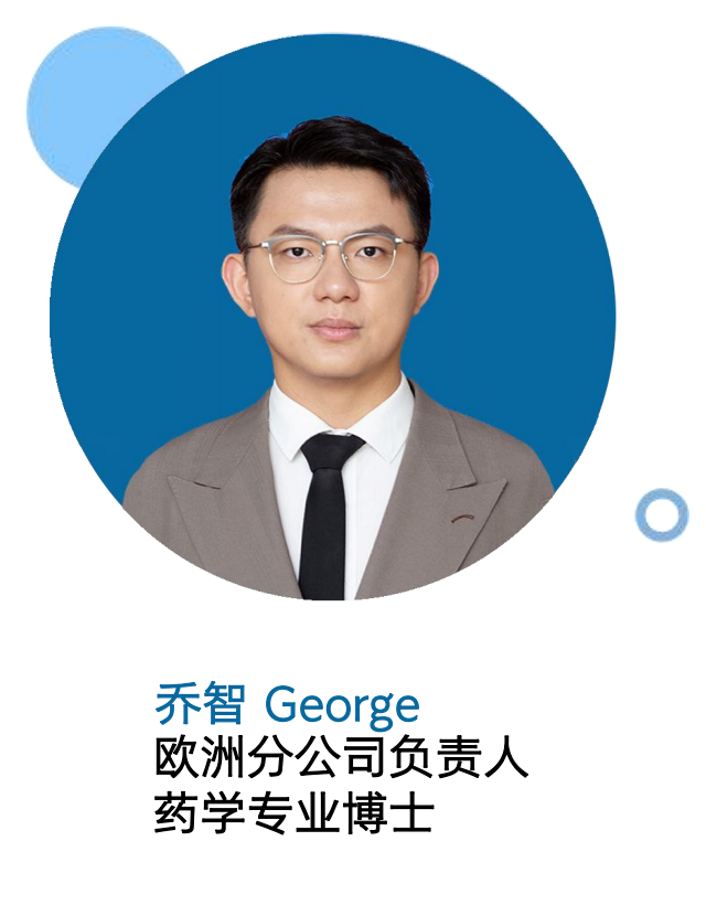 乔智